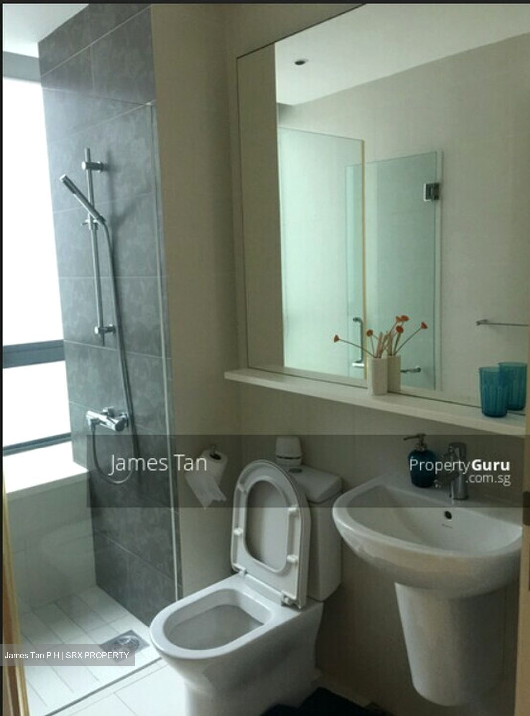 Rosewood Suites (D25), Condominium #558708901